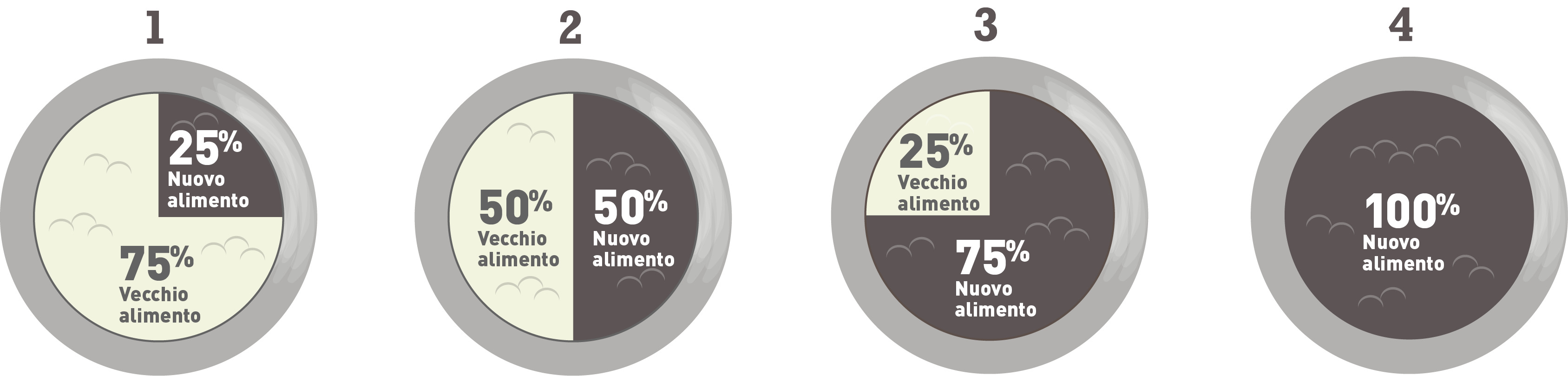 Dieta di transizione